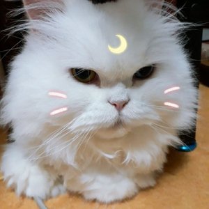 베스트 후기 이미지