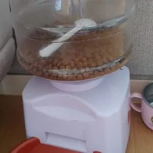 베스트 후기 이미지