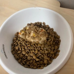 [유통기한임박, 23년3월31일] 이나바 독 트윈컵 닭가슴살&녹황색채소&닭연골 베스트 후기 이미지