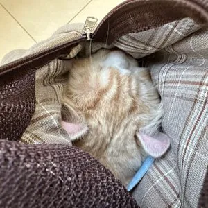 베스트 후기 이미지