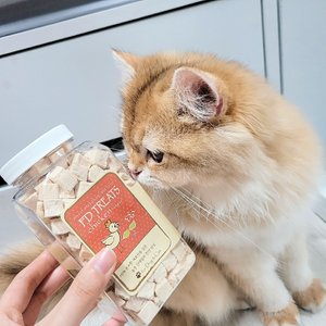 베스트 후기 이미지