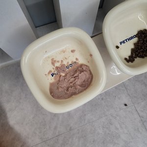 베스트 후기 이미지