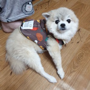 베스트 후기 이미지