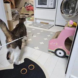 베스트 후기 이미지