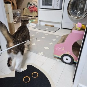 크레용펫 캣 회전 깃털 낚시대 리필 (화이트/브라운) 베스트 후기 이미지