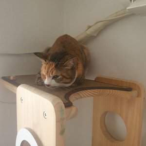 베스트 후기 이미지