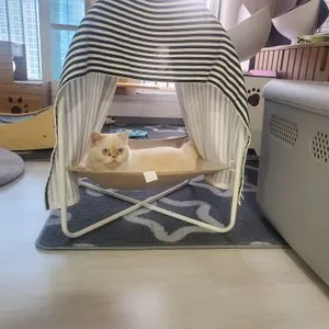 베스트 후기 이미지