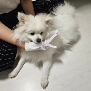 베스트 후기 이미지