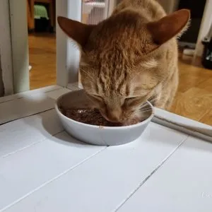 베스트 후기 이미지