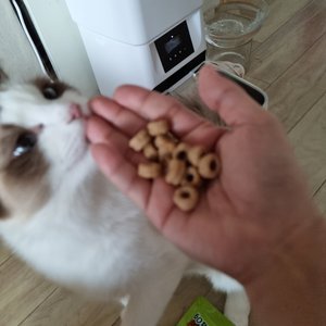 베스트 후기 이미지