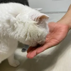 베스트 후기 이미지