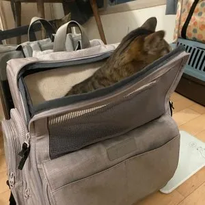 베스트 후기 이미지