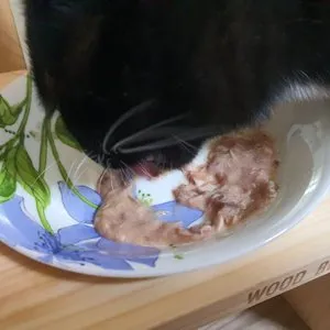 베스트 후기 이미지