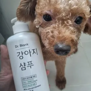 베스트 후기 이미지