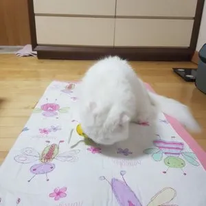 베스트 후기 이미지