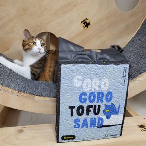 베스트 후기 이미지