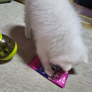 베스트 후기 이미지