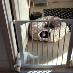 베스트 후기 이미지