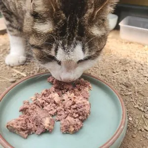 베스트 후기 이미지