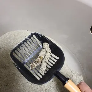 베스트 후기 이미지