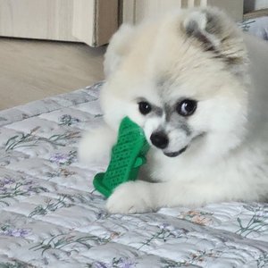 베스트 후기 이미지