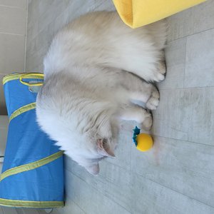 베스트 후기 이미지