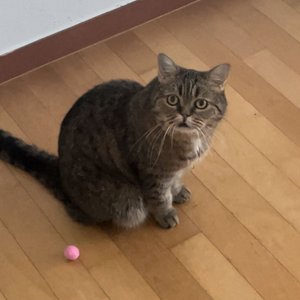 베스트 후기 이미지