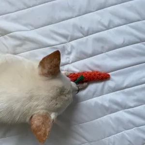 베스트 후기 이미지