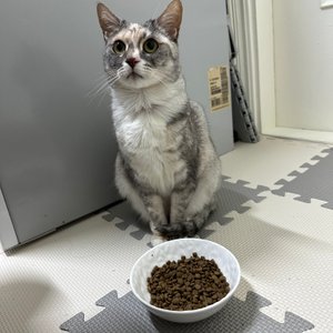 베스트 후기 이미지