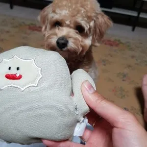 베스트 후기 이미지