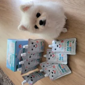 베스트 후기 이미지