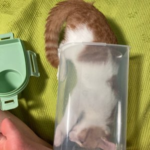 베스트 후기 이미지