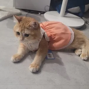 베스트 후기 이미지