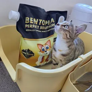 베스트 후기 이미지