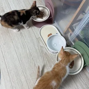 베스트 후기 이미지