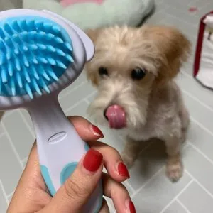 베스트 후기 이미지