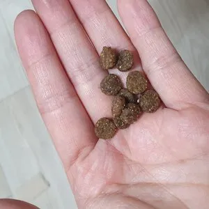 베스트 후기 이미지