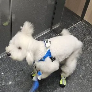 베스트 후기 이미지