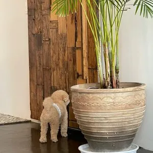 베스트 후기 이미지