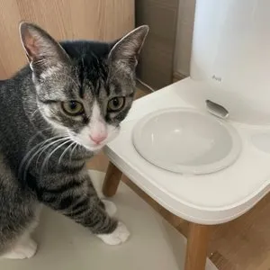 베스트 후기 이미지