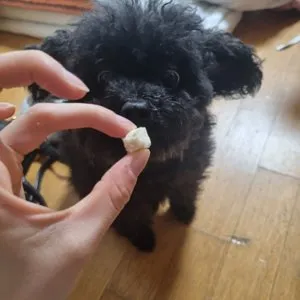 베스트 후기 이미지