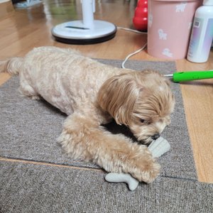 베스트 후기 이미지