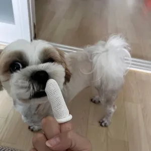 베스트 후기 이미지