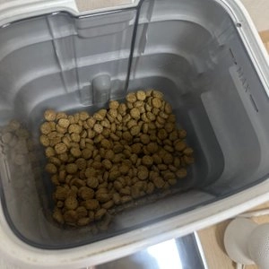 내추럴발란스 독 울트라 팻독스 닭&연어&보리 다이어트 레시피 라지브리드 5kg 베스트 후기 이미지