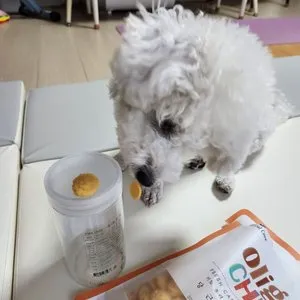 베스트 후기 이미지