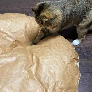 베스트 후기 이미지