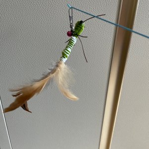 베스트 후기 이미지
