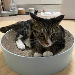 베스트 후기 이미지