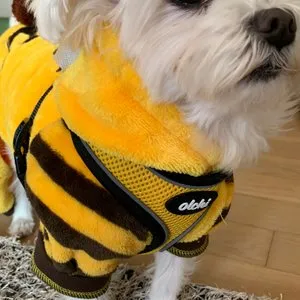 베스트 후기 이미지