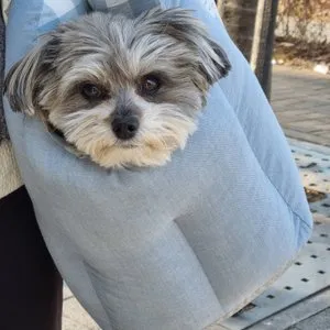 베스트 후기 이미지